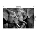 JOKA Fotobehang P180 400 cm br x 267 cm hg 300 grams structuur (1)