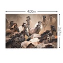 JOKA Fotobehang P183 400 cm br x 267 cm hg 300 grams structuur (1)