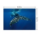 JOKA Fotobehang P186 400 cm br x 267 cm hg 300 grams structuur (1)