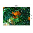 JOKA Fotobehang P217 400 cm br x 267 cm hg 300 grams structuur (1)