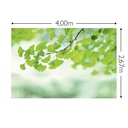JOKA Fotobehang P219 400 cm br x 267 cm hg 300 grams structuur (1)