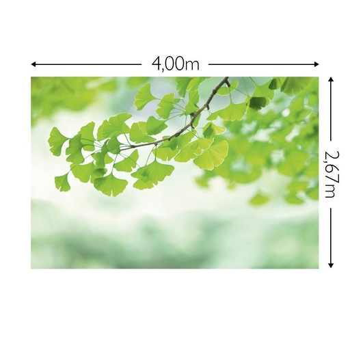 JOKA Fotobehang P219 400 cm br x 267 cm hg 300 grams structuur (1)