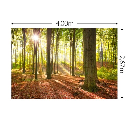 JOKA Fotobehang P226 400 cm br x 267 cm hg 300 grams structuur (1)