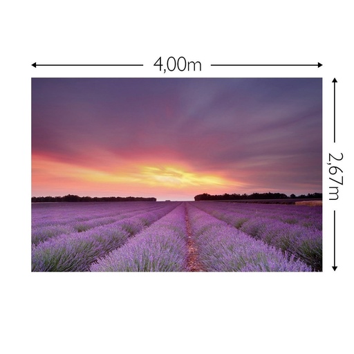 JOKA Fotobehang P227 400 cm br x 267 cm hg 300 grams structuur (1)