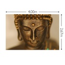 JOKA Fotobehang P242 400 cm br x 267 cm hg 300 grams structuur (1)