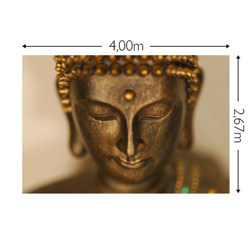 JOKA Fotobehang P242 400 cm br x 267 cm hg 300 grams structuur (1)