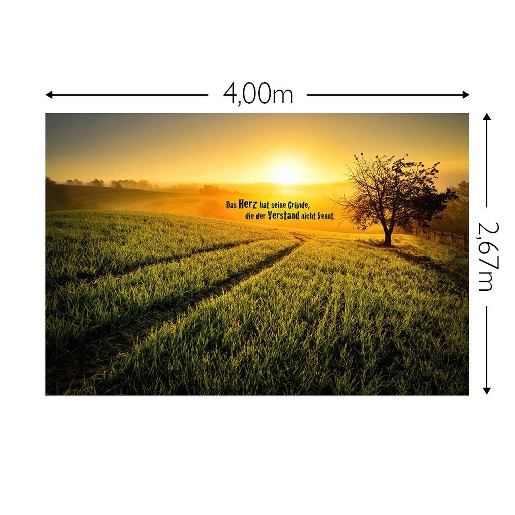 JOKA Fotobehang P246 400 cm br x 267 cm hg 300 grams structuur (1)
