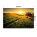 JOKA Fotobehang P246 400 cm br x 267 cm hg 300 grams structuur (1)