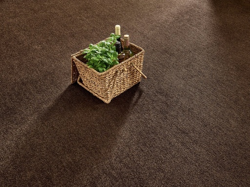 Balance 25 Tapijt ELYSEE 500cm Kleur 283 x 500 (1)