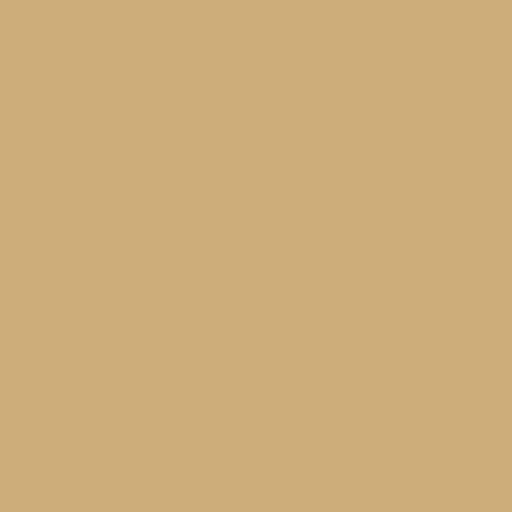 ColorSealant Acrylaatkit CS4206 Beuken 310ml (2)