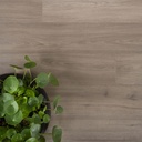 DD solide plank marjolein - 19,2 cm, PB 4V (2)