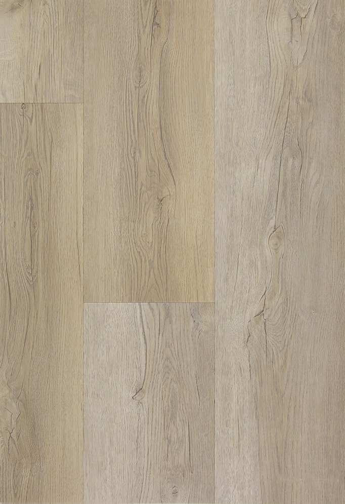 [CAT-TFD-FLOORTILE-FIRM-6] Firm 6