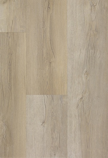 [CAT-TFD-FLOORTILE-FIRM-6] Firm 6