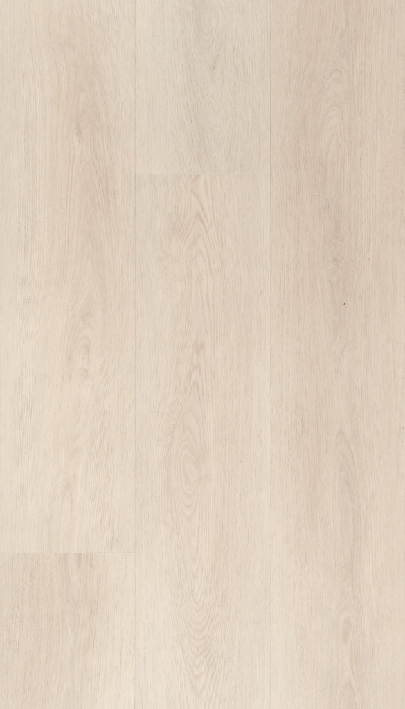 [CAT-TFD-FLOORTILE-ESPINA-6] Espina 6
