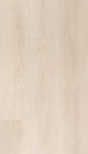 [CAT-TFD-FLOORTILE-ESPINA-6] Espina 6
