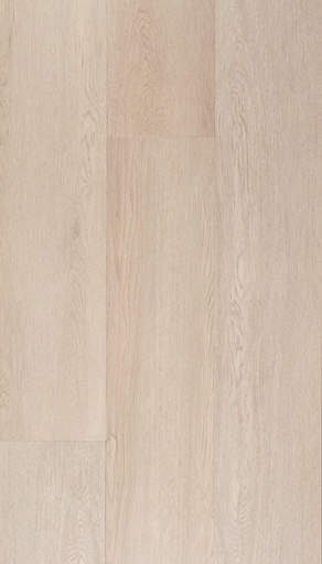 [CAT-TFD-FLOORTILE-ESPINA-4] Espina 4
