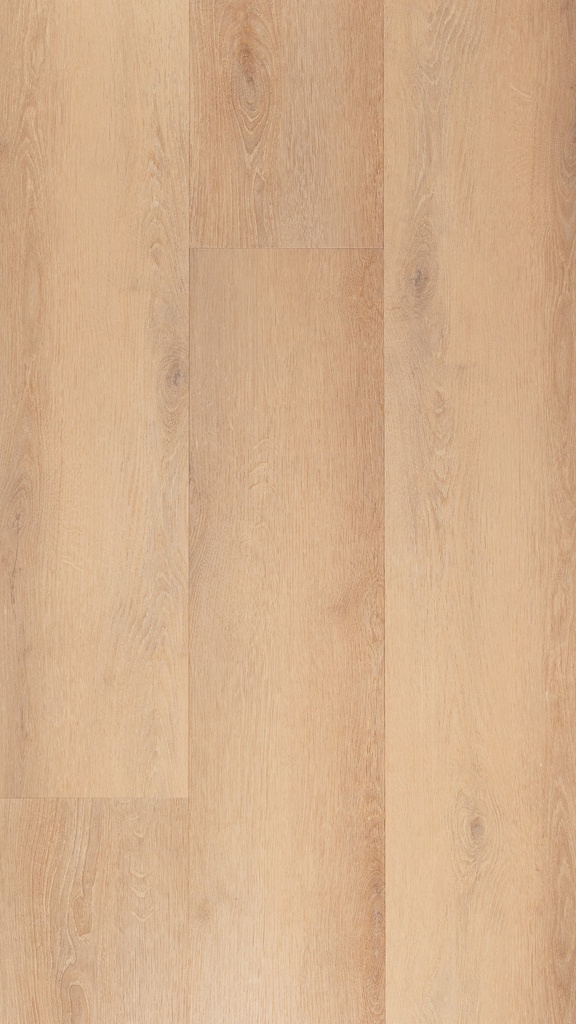 [CAT-TFD-FLOORTILE-ESPINA-3] Espina 3