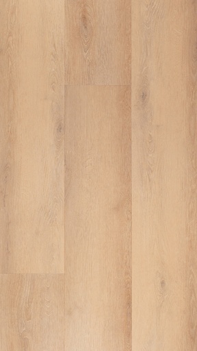 [CAT-TFD-FLOORTILE-ESPINA-3] Espina 3
