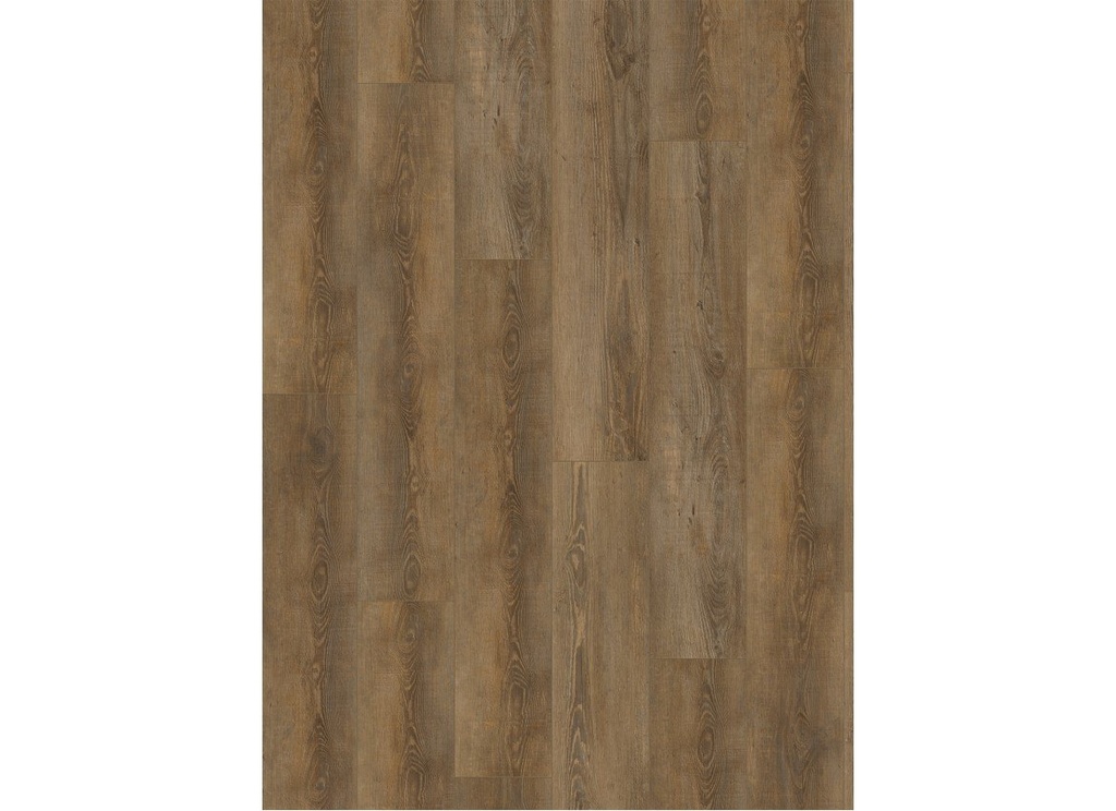[CAT-GELASTA-CITY-5604-RIGID-CLICK-OLYMPIA-PINE-NATURAL] City 5604 (rigid click) Olympia Pine Natural
