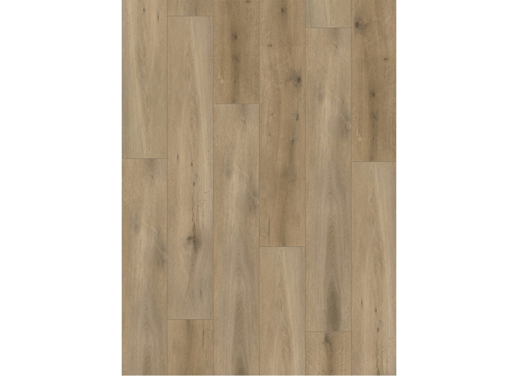 [CAT-GELASTA-CALLISTO-4103-DRYBACK-NATURAL-OAK-SMOKED] Callisto 4103 (dryback) Natural Oak Smoked