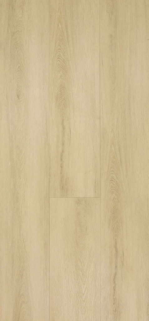 [CAT-TFD-FLOORTILE-AT-HOME-RIGID-19] At Home Rigid 19