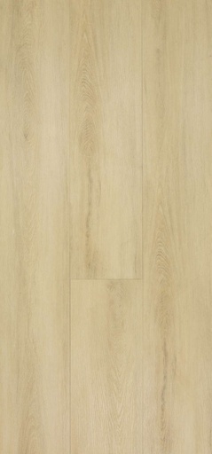 [CAT-TFD-FLOORTILE-AT-HOME-19] At Home 19
