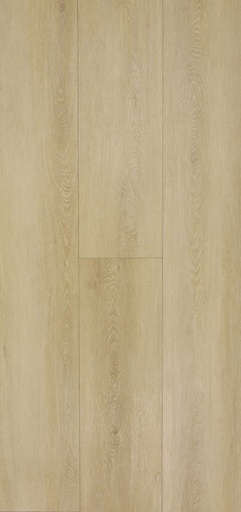 [CAT-TFD-FLOORTILE-AT-HOME-12] At Home 12