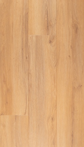 [CAT-TFD-FLOORTILE-29-01] 29-01
