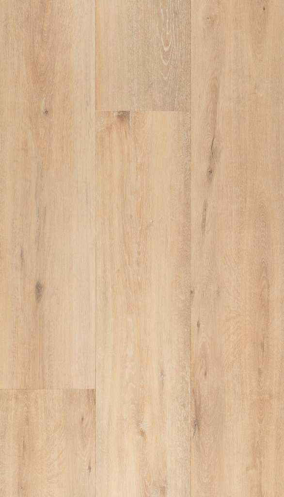 [CAT-TFD-FLOORTILE-19009] 19009