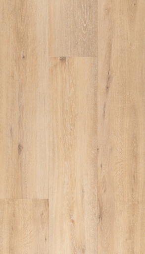 [CAT-TFD-FLOORTILE-19009] 19009