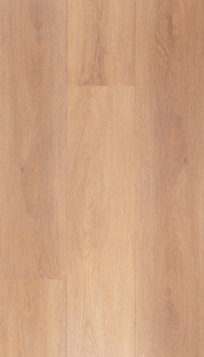 [CAT-TFD-FLOORTILE-1618-9] 1618-9
