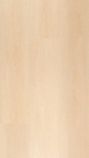 [CAT-TFD-FLOORTILE-1617-9] 1617-9