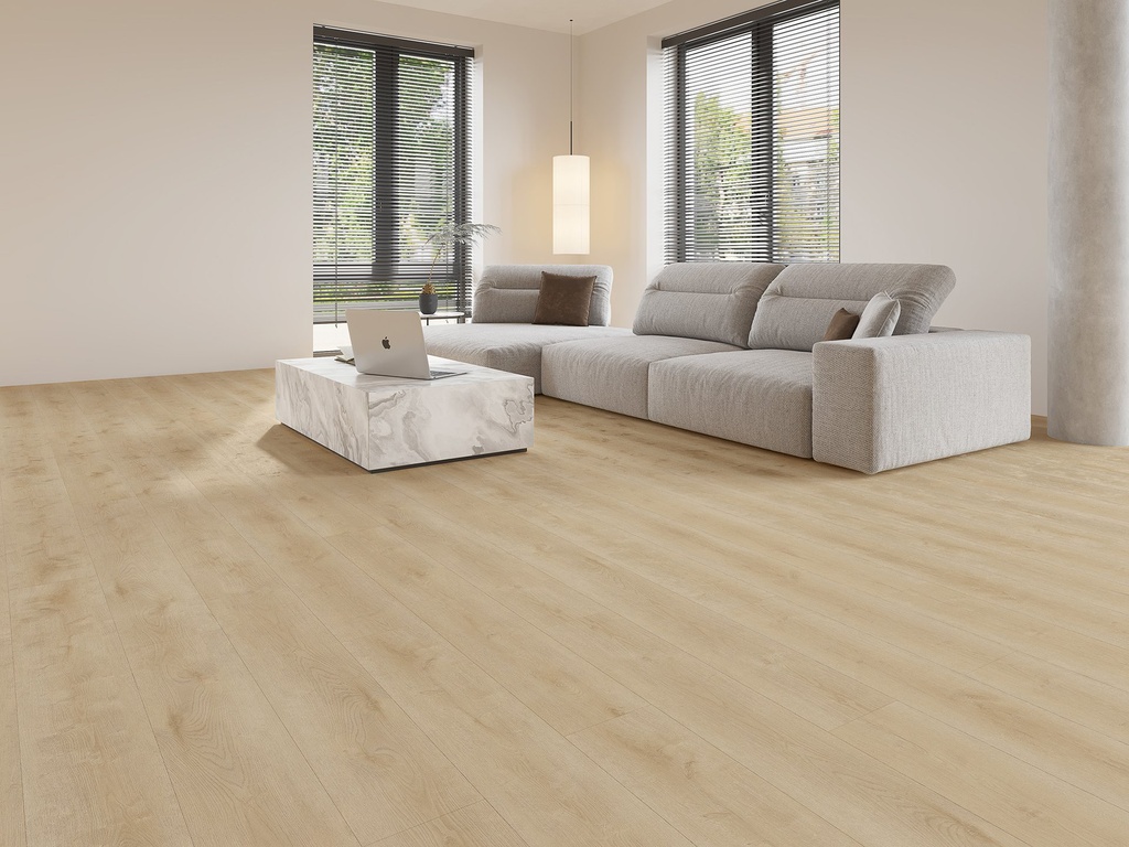 Gelasta Dynamic 2500 (dryback) Natural light gelegd in een interieur