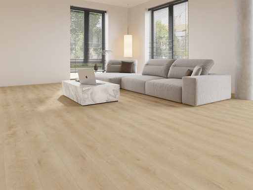 Dynamic 2500 (dryback) Natural light (interieur)