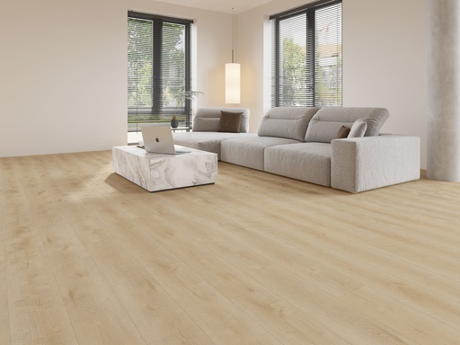 Dynamic 3500 (rigid click) Natural light (interieur)