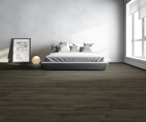 Oakland 6106 (dryback) Soil (interieur)