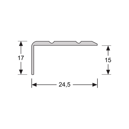 Hoeklijnprofiel schroef 17 mm RVS 3m (2)