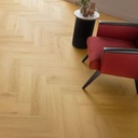 SHVIRGIN SPC VISGRAAT ARBITON (2)
