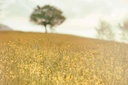 TFD 19009 silvestri-matteo-6-C0VRsagUw-unsplash