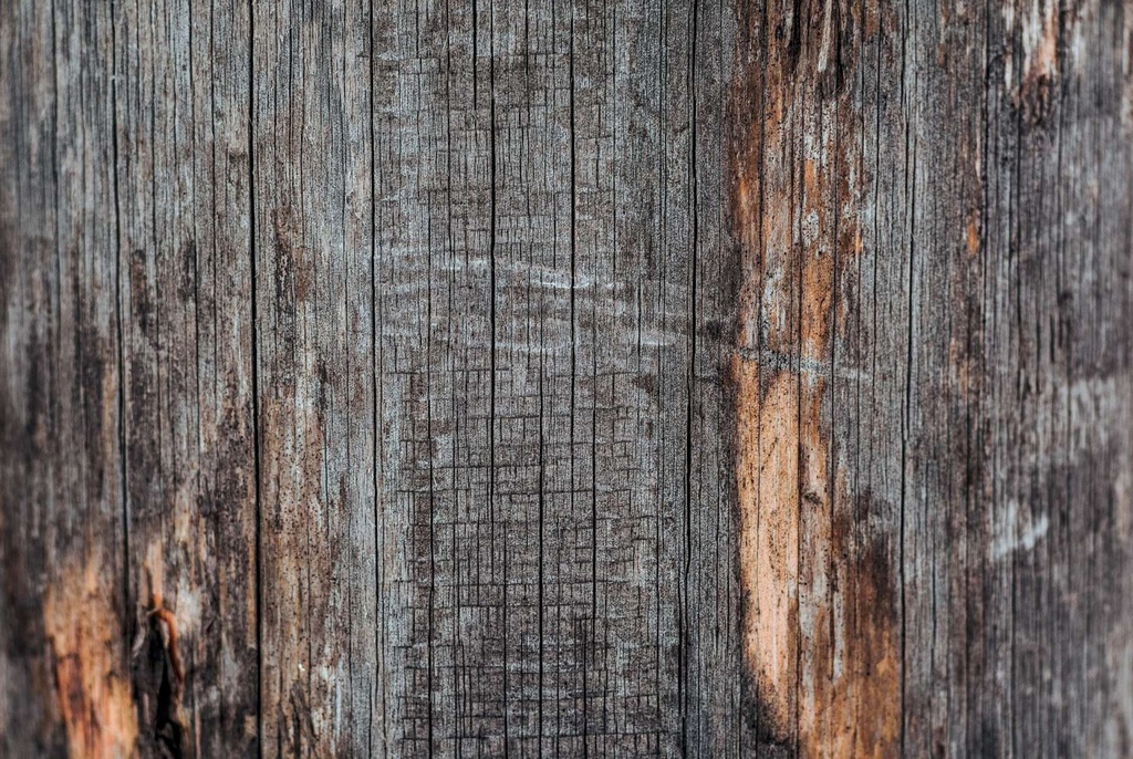 TFD Floortile Experience 4 takanori-nishikawa-1342007-unsplash