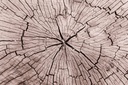 TFD Floortile Experience 6 ashkan-forouzani-1224950-unsplash