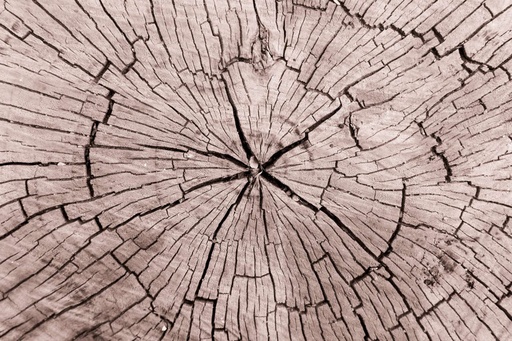 TFD Floortile Experience 6 ashkan-forouzani-1224950-unsplash