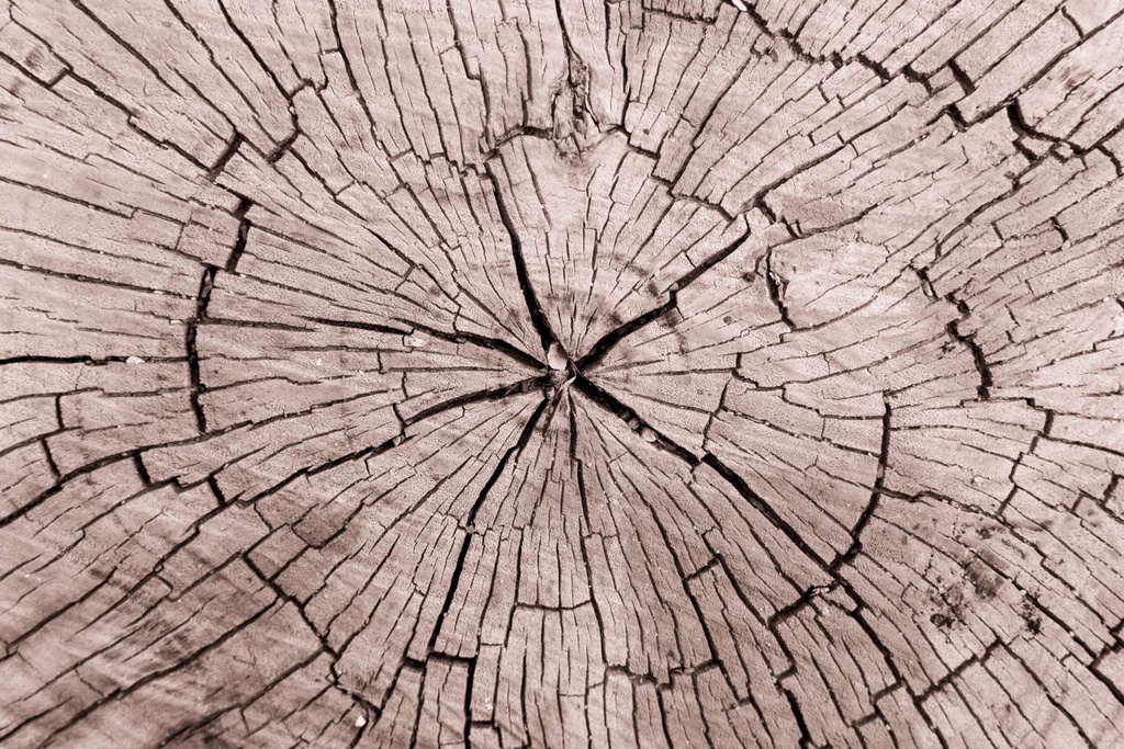 TFD Floortile Experience 6 ashkan-forouzani-1224950-unsplash