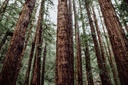 TFD Floortile Experience 7 caleb-woods-SDCGn5vn07Q-unsplash
