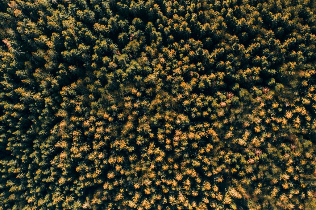 TFD Floortile Firm 6 alexis-antoine-1397020-unsplash-min