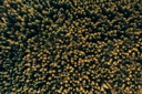 TFD Floortile Firm 6 alexis-antoine-1397020-unsplash-min