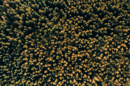 TFD Floortile Firm 6 alexis-antoine-1397020-unsplash-min