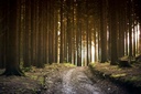 TFD Floortile Firm 8 elke-karin-lugert-GraajutbJHE-unsplash-min