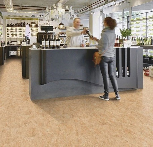 Linoleum Jokalino Real 2,5mm Kl. 1003 Shell 3075 x 200 (1)