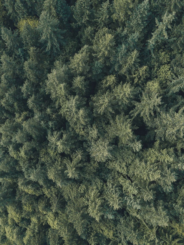 jeremy-allouche-734792-unsplash
